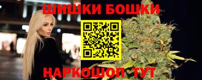 индика Пыть-Ях
