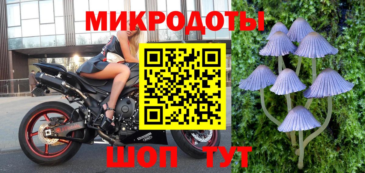 Галлюциногенные грибы Psilocybe Артём