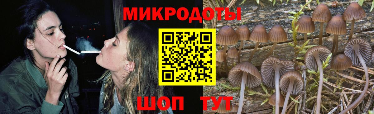 как найти закладки  Псилоцибиновые грибы Psilocybine cubensis  Вход с VPN  Артём 